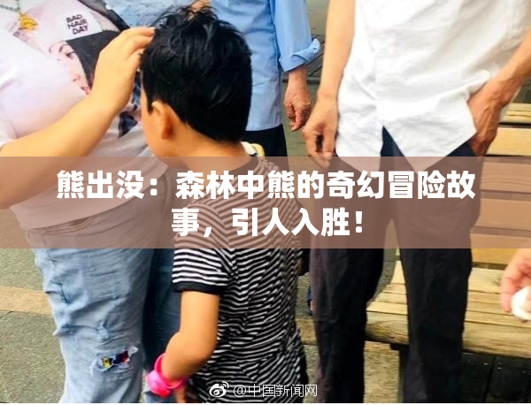 熊出没：森林中熊的奇幻冒险故事，引人入胜！