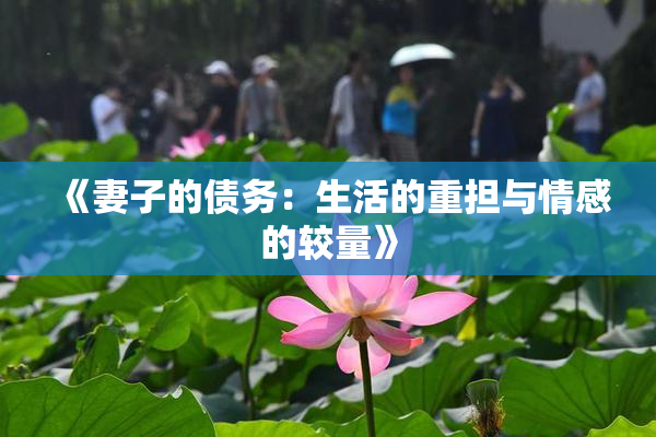 《妻子的债务：生活的重担与情感的较量》