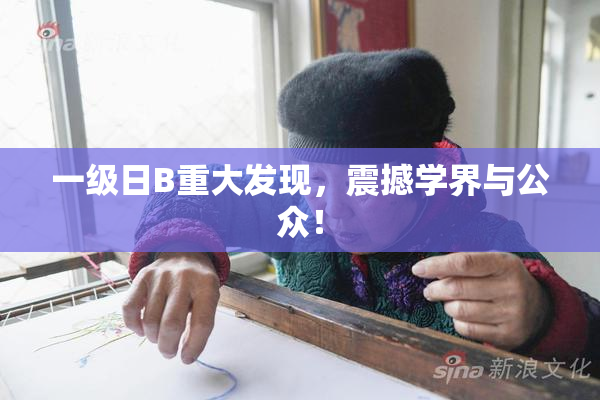 一级日B重大发现，震撼学界与公众！