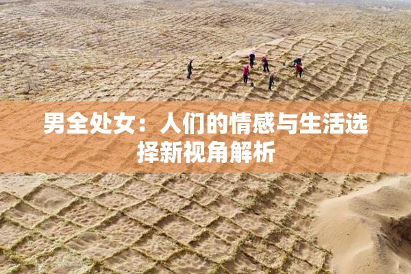 男全处女：人们的情感与生活选择新视角解析