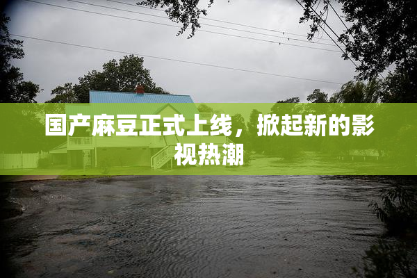 国产麻豆正式上线，掀起新的影视热潮