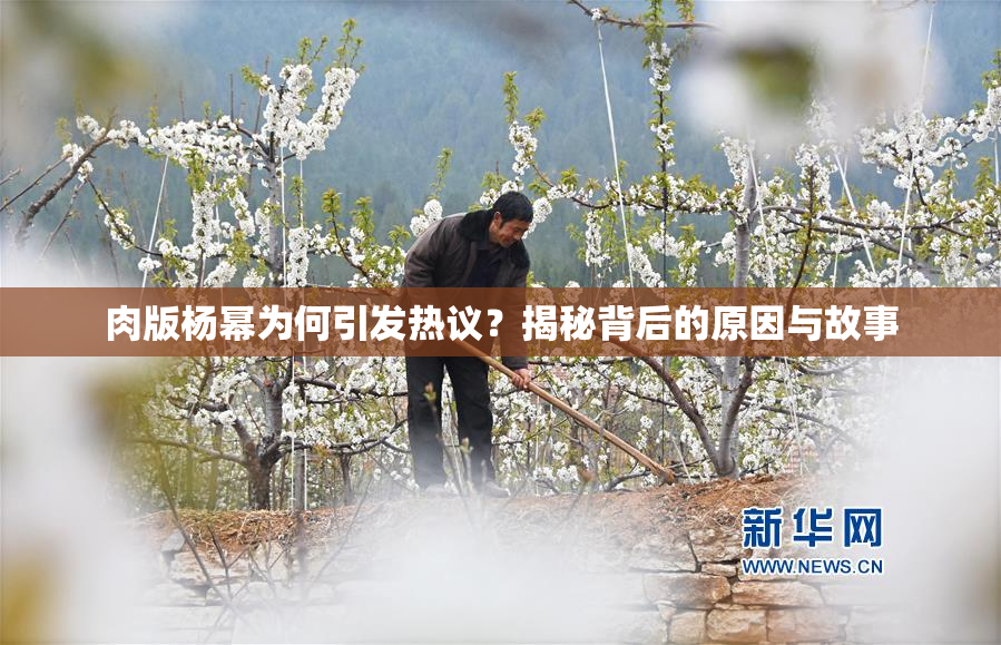 肉版杨幂为何引发热议？揭秘背后的原因与故事