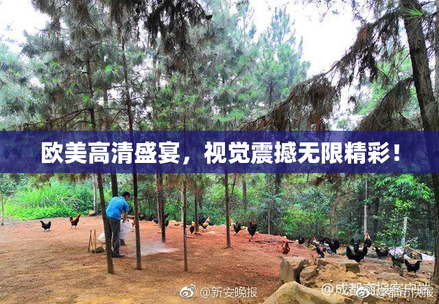 欧美高清盛宴，视觉震撼无限精彩！