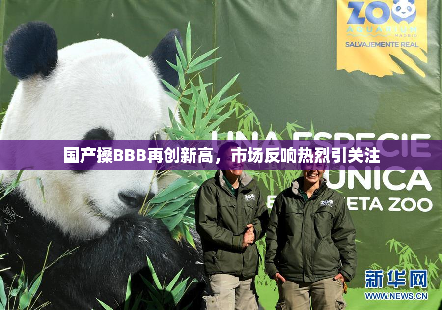 国产搡BBB再创新高，市场反响热烈引关注