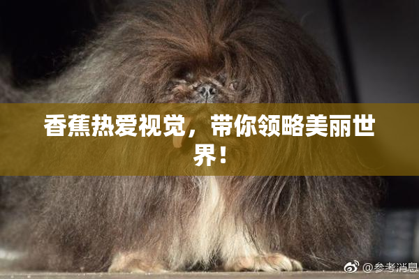 香蕉热爱视觉，带你领略美丽世界！