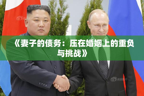《妻子的债务：压在婚姻上的重负与挑战》