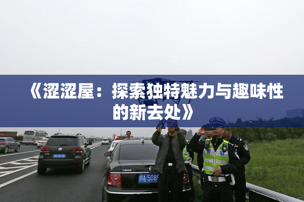 《涩涩屋：探索独特魅力与趣味性的新去处》