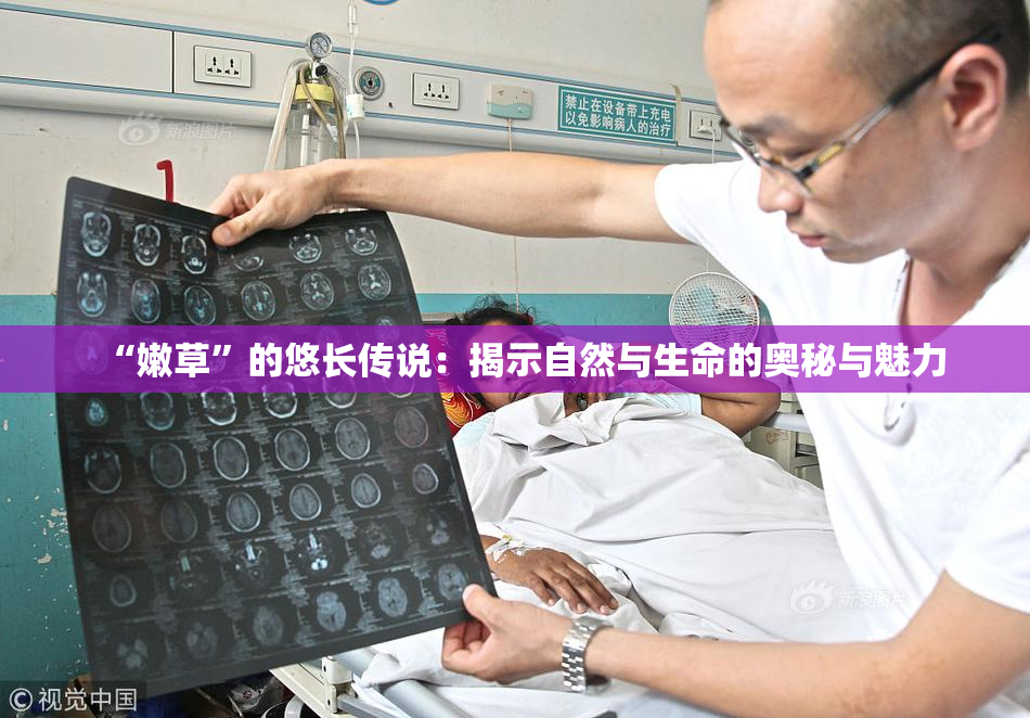 “嫩草”的悠长传说：揭示自然与生命的奥秘与魅力
