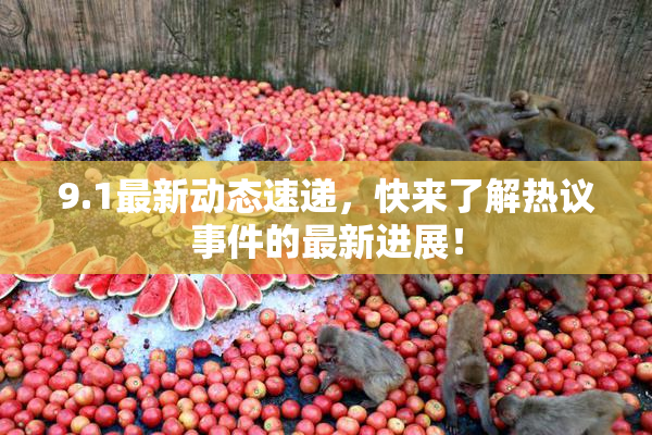 9.1最新动态速递，快来了解热议事件的最新进展！