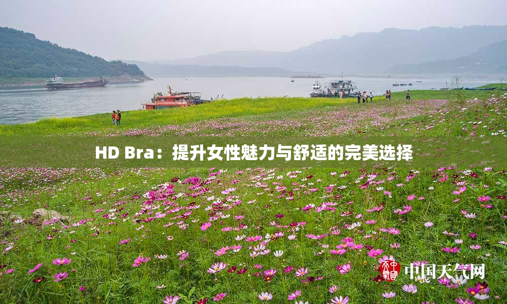 HD Bra：提升女性魅力与舒适的完美选择