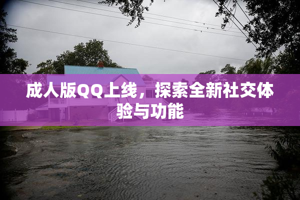 成人版QQ上线，探索全新社交体验与功能
