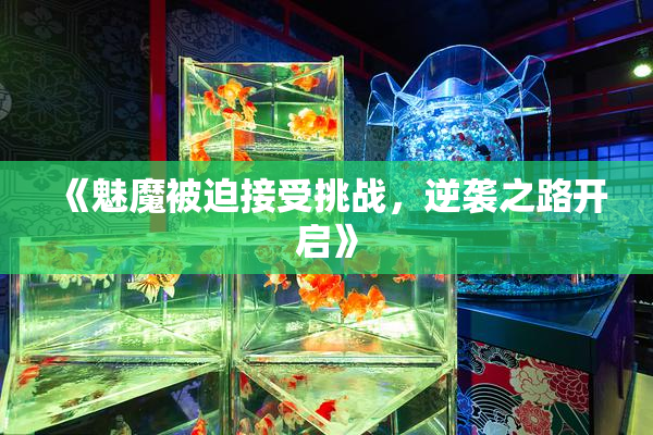 《魅魔被迫接受挑战，逆袭之路开启》