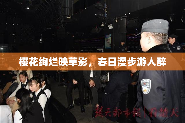 樱花绚烂映草影，春日漫步游人醉