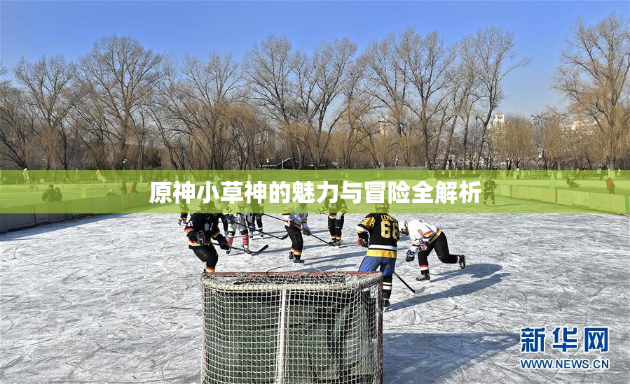 原神小草神的魅力与冒险全解析