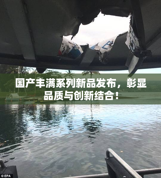 国产丰满系列新品发布，彰显品质与创新结合！