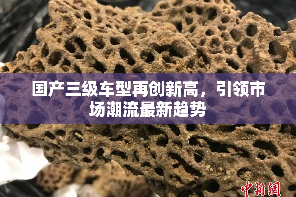 国产三级车型再创新高，引领市场潮流最新趋势