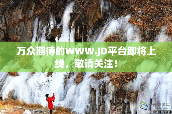 万众期待的WWW.JD平台即将上线，敬请关注！