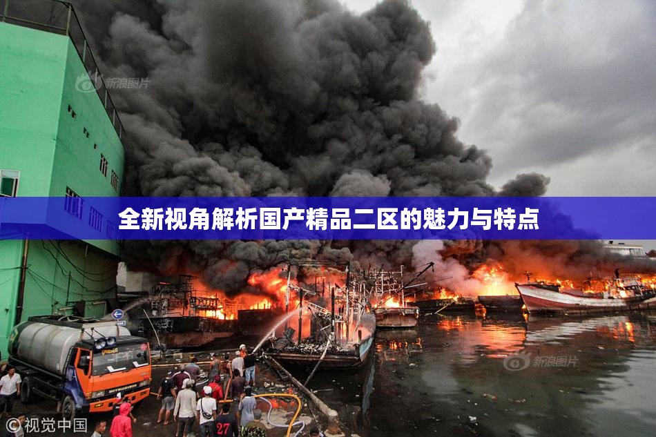全新视角解析国产精品二区的魅力与特点