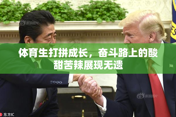 体育生打拼成长，奋斗路上的酸甜苦辣展现无遗