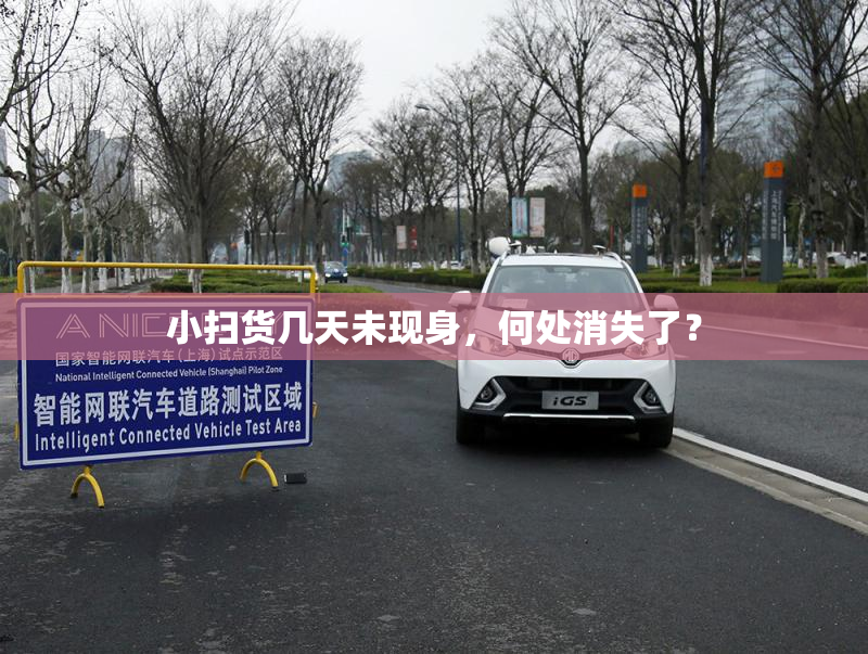 小扫货几天未现身，何处消失了？