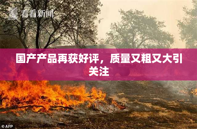 国产产品再获好评，质量又粗又大引关注