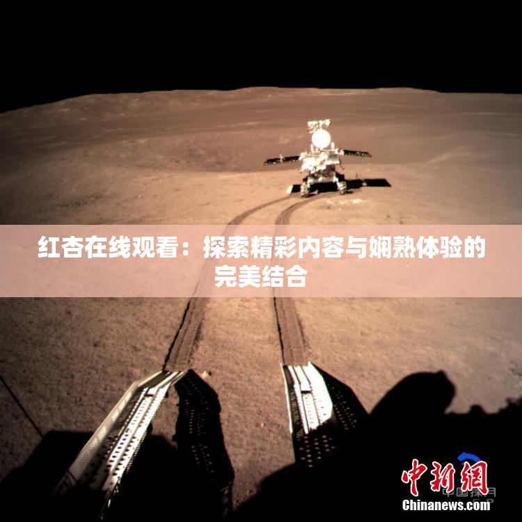 红杏在线观看：探索精彩内容与娴熟体验的完美结合
