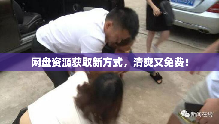 网盘资源获取新方式，清爽又免费！