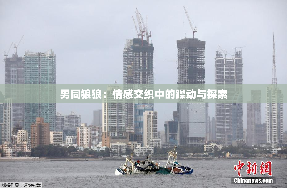 男同狼狼：情感交织中的躁动与探索