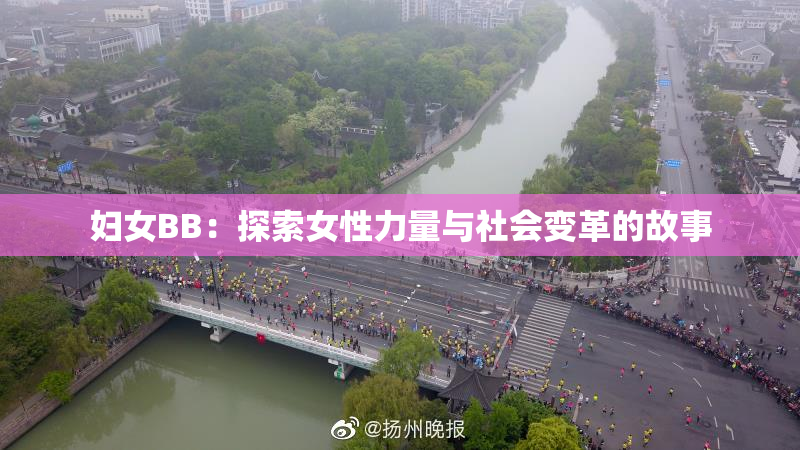 妇女BB：探索女性力量与社会变革的故事