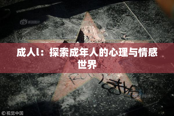 成人l：探索成年人的心理与情感世界