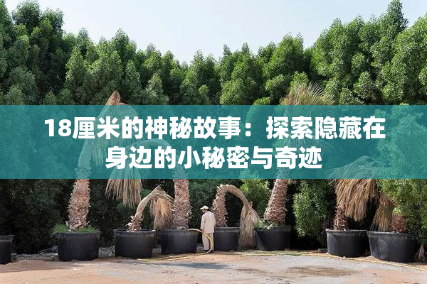18厘米的神秘故事：探索隐藏在身边的小秘密与奇迹