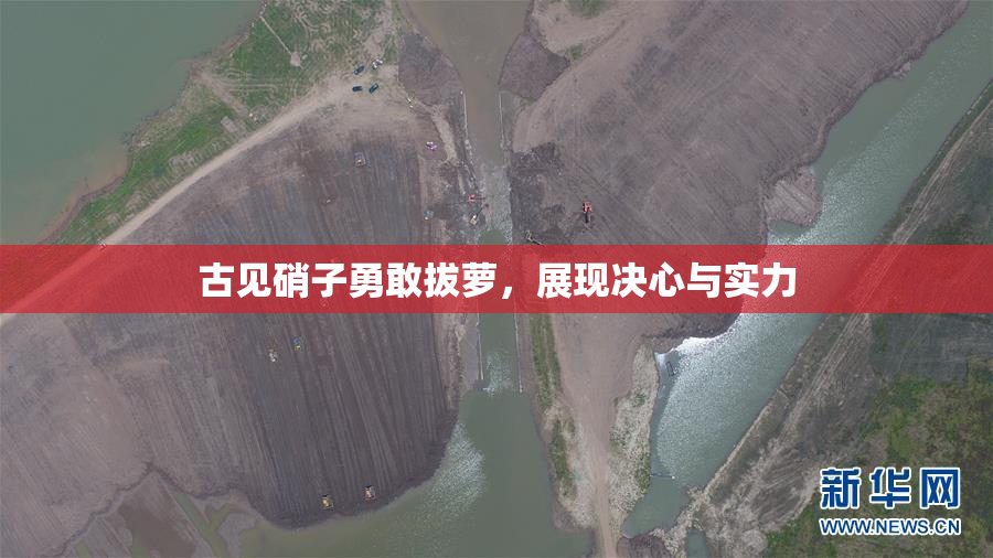 古见硝子勇敢拔萝，展现决心与实力