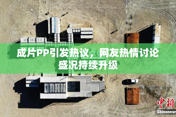 成片PP引发热议，网友热情讨论盛况持续升级