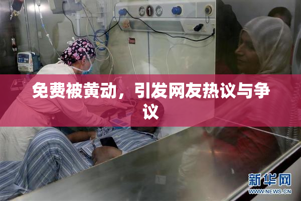免费被黄动，引发网友热议与争议