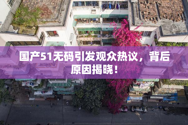 国产51无码引发观众热议，背后原因揭晓！