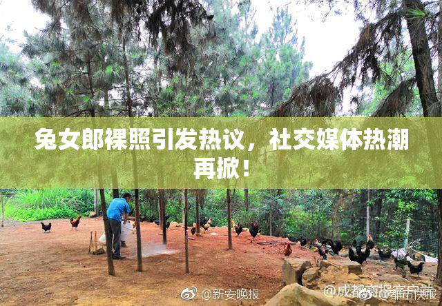 兔女郎裸照引发热议，社交媒体热潮再掀！