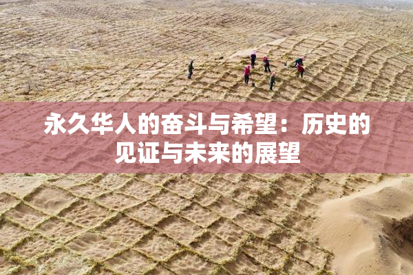 永久华人的奋斗与希望：历史的见证与未来的展望