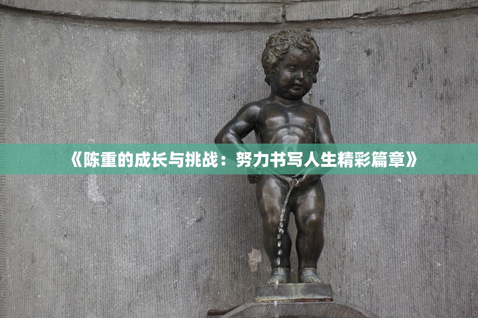 《陈重的成长与挑战：努力书写人生精彩篇章》