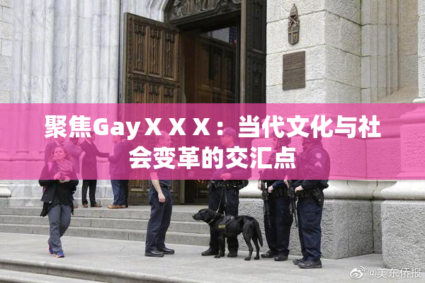 聚焦GayⅩⅩⅩ：当代文化与社会变革的交汇点