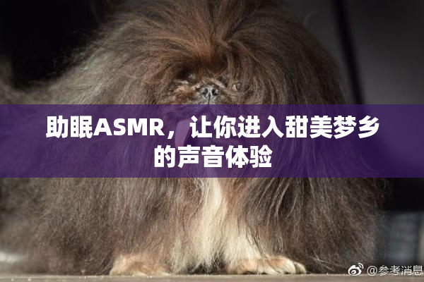 助眠ASMR，让你进入甜美梦乡的声音体验
