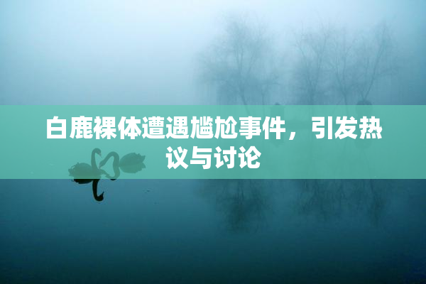 白鹿裸体遭遇尴尬事件，引发热议与讨论