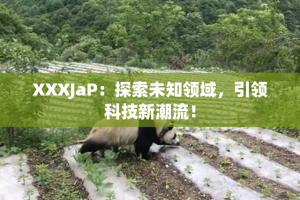 XXXJaP：探索未知领域，引领科技新潮流！