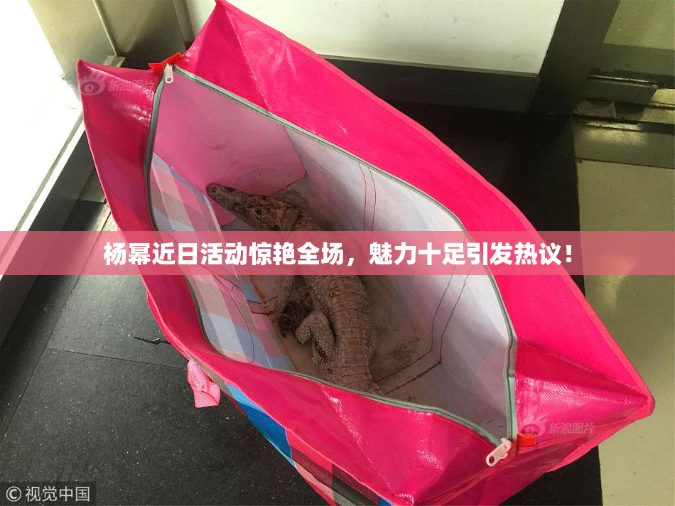 杨幂近日活动惊艳全场，魅力十足引发热议！