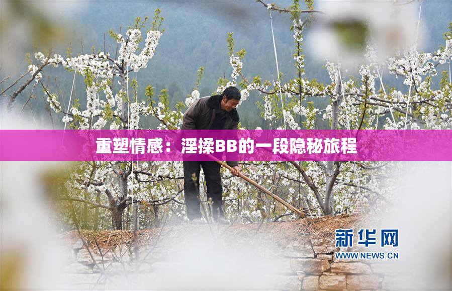 重塑情感：淫揉BB的一段隐秘旅程