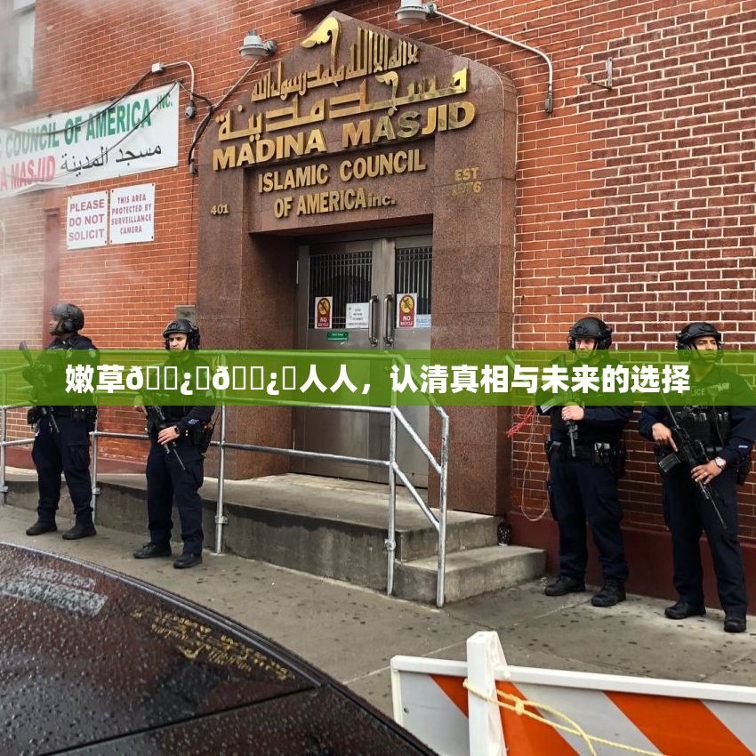 嫩草🌿‌🌿‌人人，认清真相与未来的选择