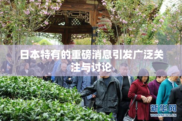 日本特有的重磅消息引发广泛关注与讨论