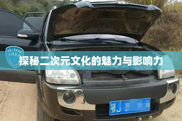 探秘二次元文化的魅力与影响力