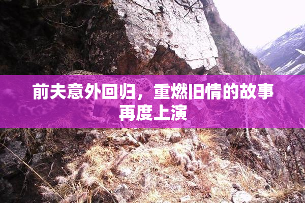 前夫意外回归，重燃旧情的故事再度上演