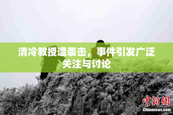 清冷教授遭袭击，事件引发广泛关注与讨论