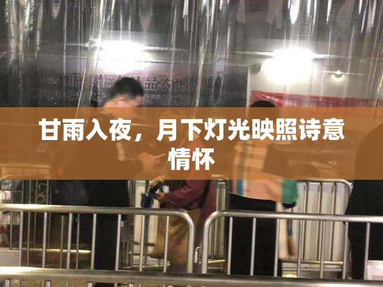 甘雨入夜，月下灯光映照诗意情怀